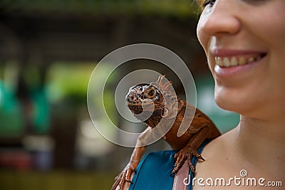 Huge brown iguana sits on the womanâ€™s shoulder Stock Photo